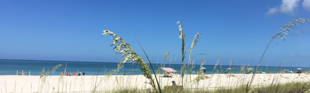 beach1.2_1000