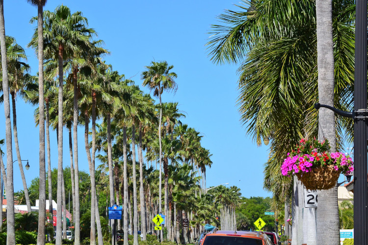 venice fl weather