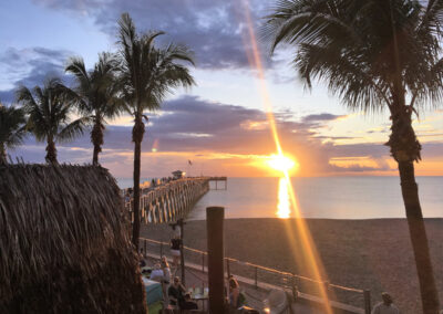 Sharky's Venice Pier Florida